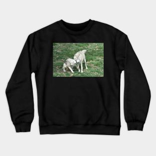 Wolves Crewneck Sweatshirt